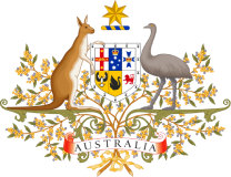 image 16